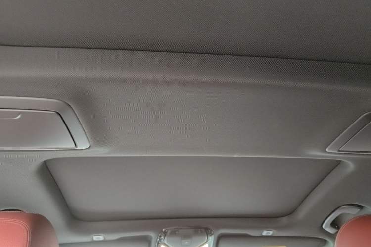 Used BMW 5 Series 2019 530Li Luxury Edition M Sport Package Headliner