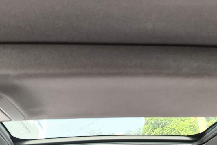 Used BMW 5 Series 2019 530Li Leading Model M Sport Package Headliner