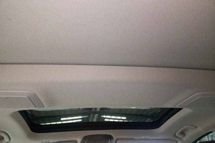 Used BMW 5 Series 2019 530Li Leading Model Luxury Package Headliner