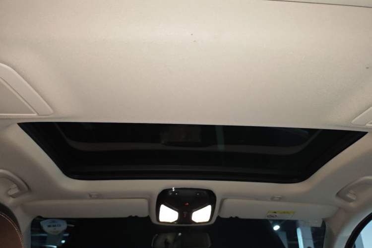 Used BMW 5 Series 2019 530Li xDrive Luxury Package Headliner