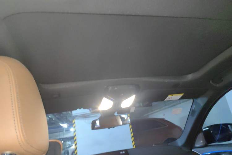 Used BMW 5 Series 2019 530Li Leading Model M Sport Package Headliner