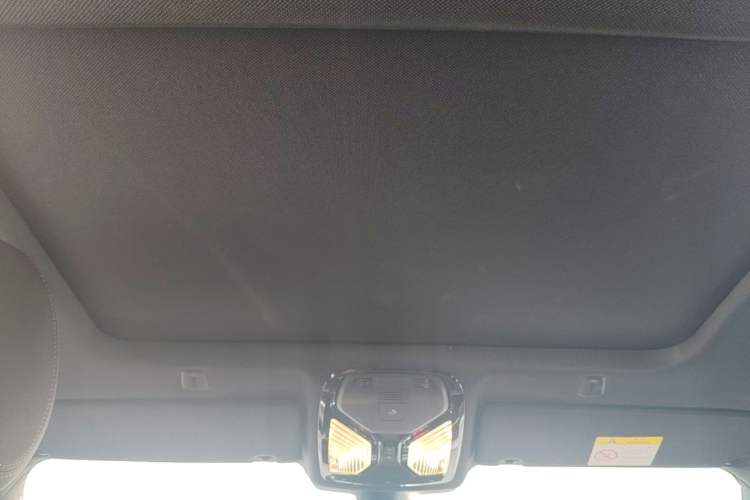Used BMW 5 Series 2019 525Li M Sport Package Headliner