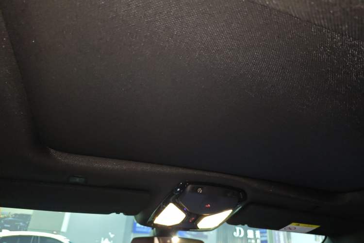 Used BMW 5 Series 2019 530Li Leading Model M Sport Package Headliner