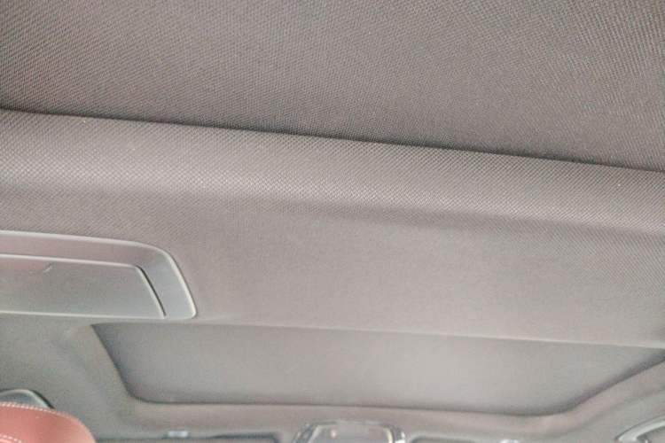 Used BMW 5 Series 2019 530Li Leading Model M Sport Package Headliner