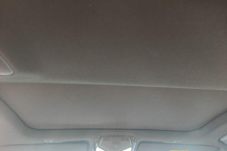 Used BMW 5 Series 2019 530Li Leading Model M Sport Package Headliner