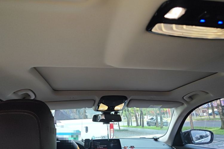 Used BMW 5 Series 2019 525Li Luxury Package Headliner