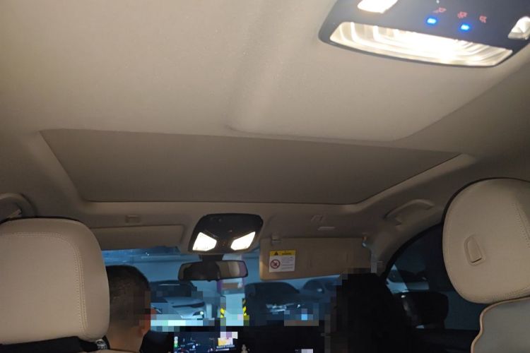 Used BMW 5 Series 2019 525Li Luxury Package Headliner