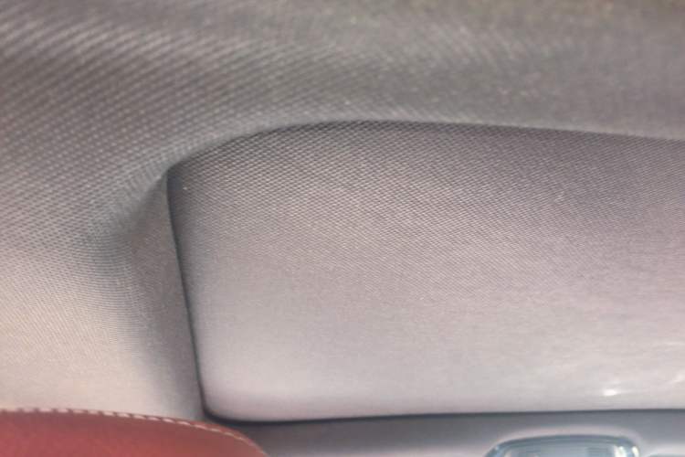 Used BMW 5 Series 2019 530Li Luxury Edition M Sport Package Headliner