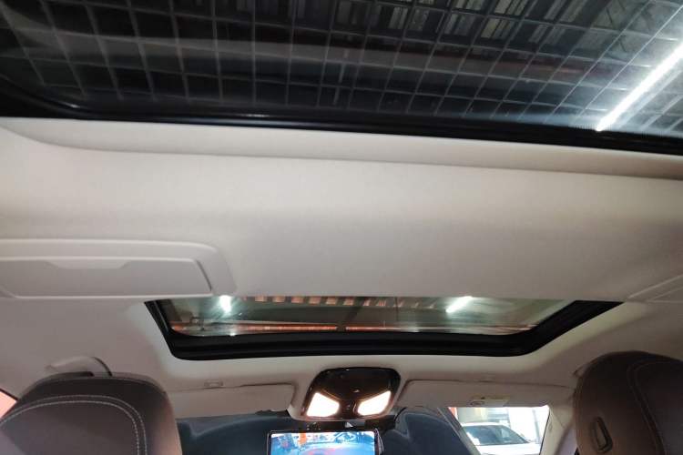 Used BMW 5 Series 2019 Facelifted 530Li Luxury Edition Premium Package Headliner