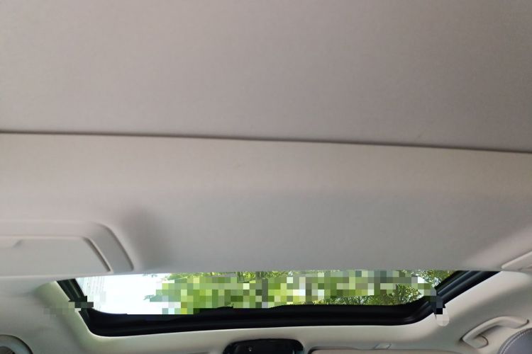 Used BMW 5 Series 2019 530Li Leading Model Luxury Package Headliner
