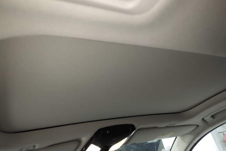 Used BMW 5 Series 2019 530Li xDrive Luxury Package Headliner