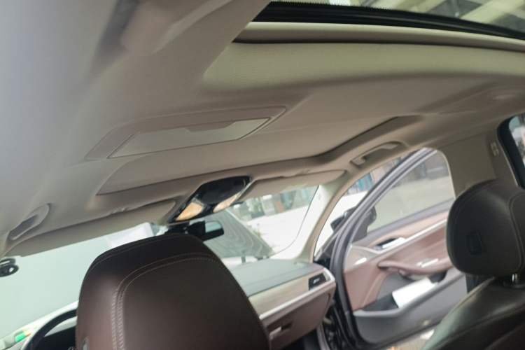 Used BMW 5 Series 2019 530Li Leading Model Luxury Package Headliner