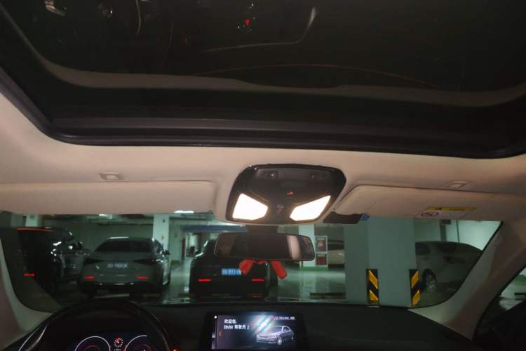 Used BMW 5 Series 2019 Facelifted 530Li Leading Edition Luxury Package Headliner