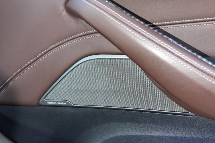 Used BMW 5 Series 2019 Facelifted 530Li Luxury Edition Premium Package Interior 5