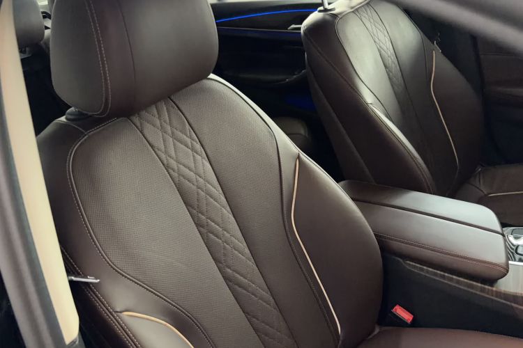 Used BMW 5 Series 2019 Facelifted 530Li Luxury Edition Premium Package Interior 7