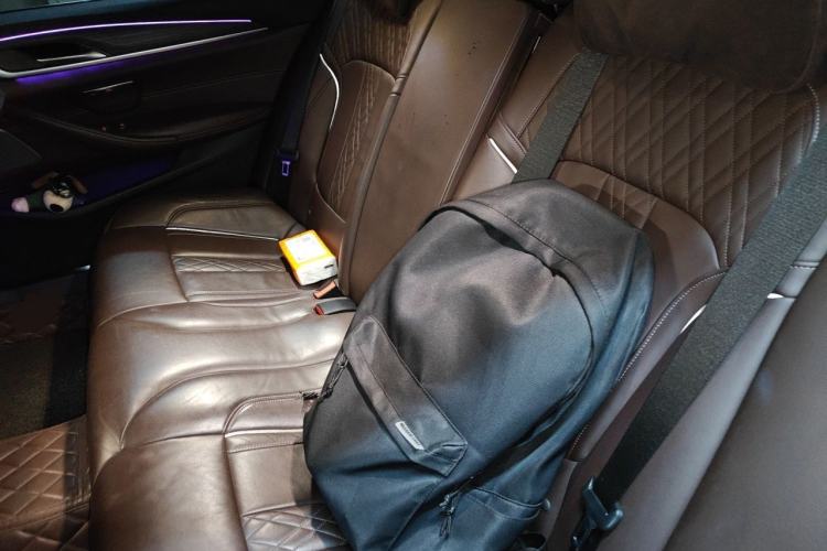 Used BMW 5 Series 2019 Facelifted 530Li Luxury Edition Premium Package Left Rear Seat