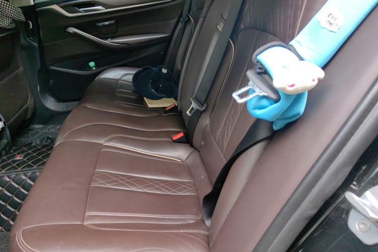 Used BMW 5 Series 2019 530Li Leading Model Luxury Package Left Rear Seat