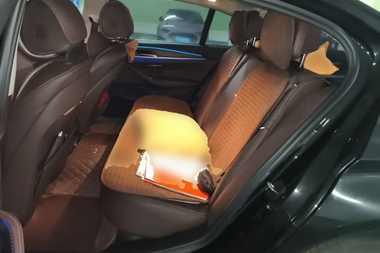 Used BMW 5 Series 2019 Updated 530Li xDrive Luxury Package Left Rear Seat