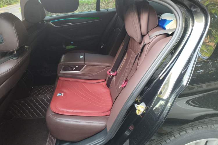 Used BMW 5 Series 2019 530Li Leading Model Luxury Package Left Rear Seat