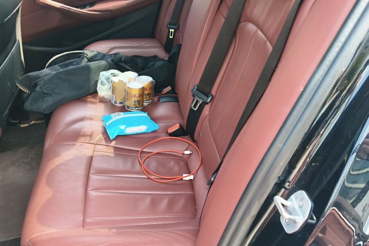 Used BMW 5 Series 2019 530Li Leading Model M Sport Package Left Rear Seat