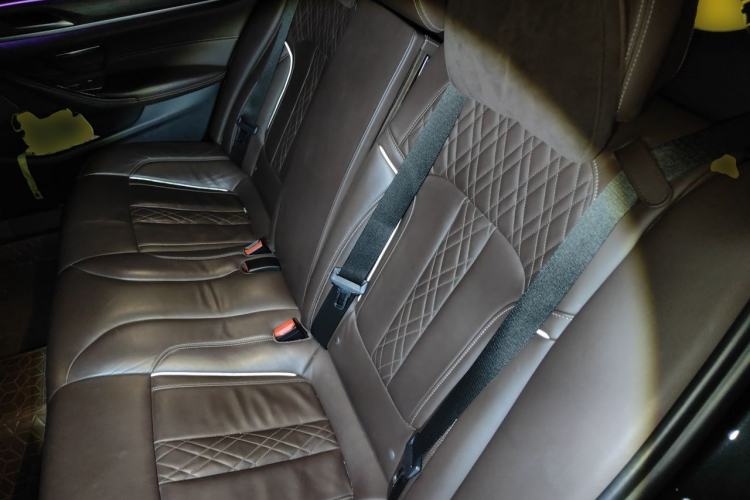 Used BMW 5 Series 2019 Facelifted 530Li Luxury Edition Premium Package Left Rear Seat
