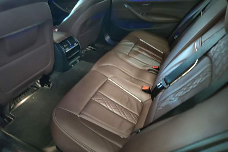 Used BMW 5 Series 2019 530Li Leading Model Luxury Package Left Rear Seat