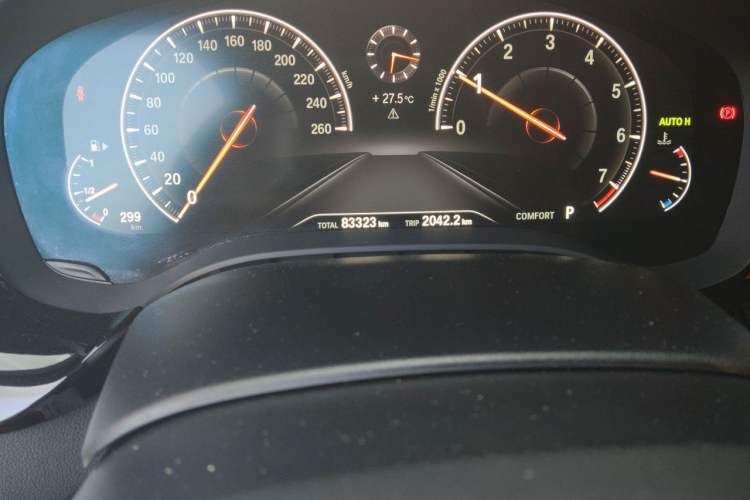 Used BMW 5 Series 2019 Facelifted 530Li Leading Edition M Sport Package Odometer Close Up
