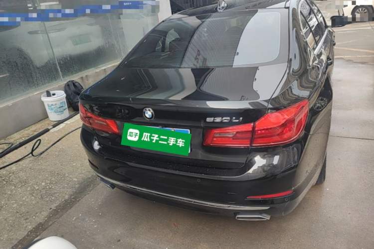 Used BMW 5 Series 2019 Facelifted 530Li Luxury Edition Premium Package Rear