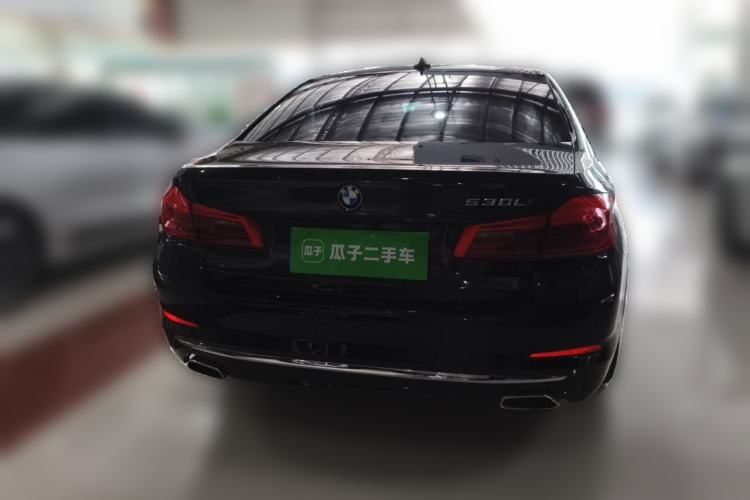 Used BMW 5 Series 2019 530Li Leading Model Luxury Package Rear