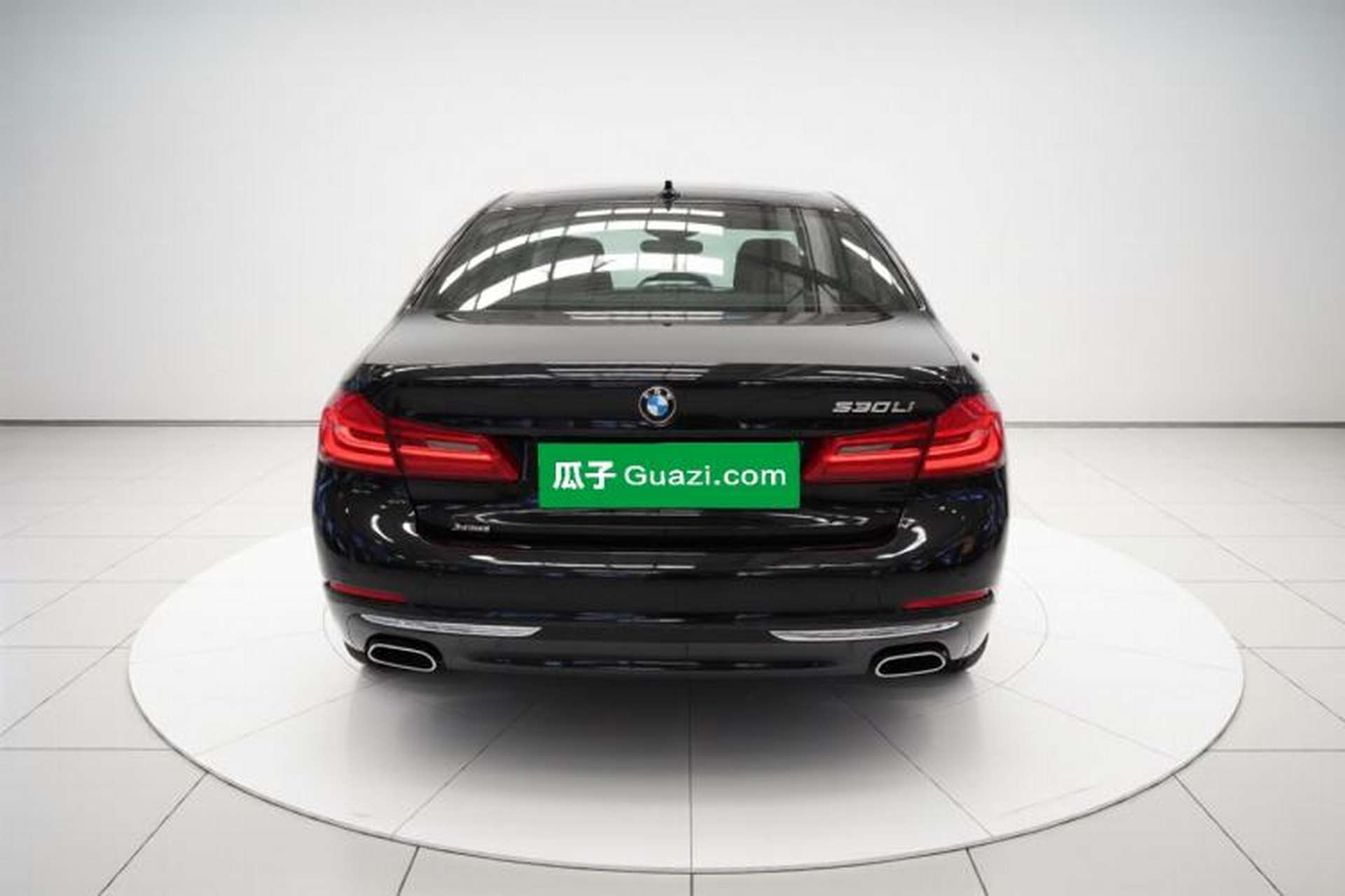 Used BMW 5 Series 2019 530Li Leading Model Luxury Package Rear