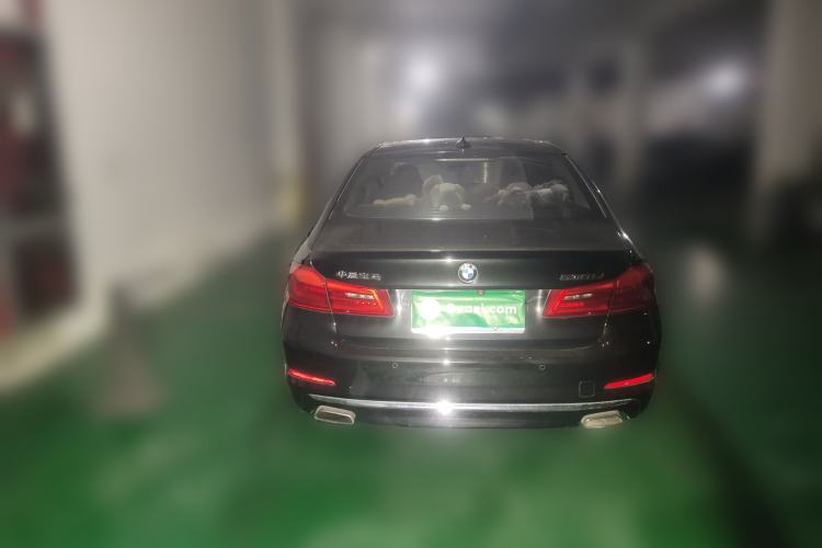 Used BMW 5 Series 2019 530Li Luxury Edition Premium Package Rear