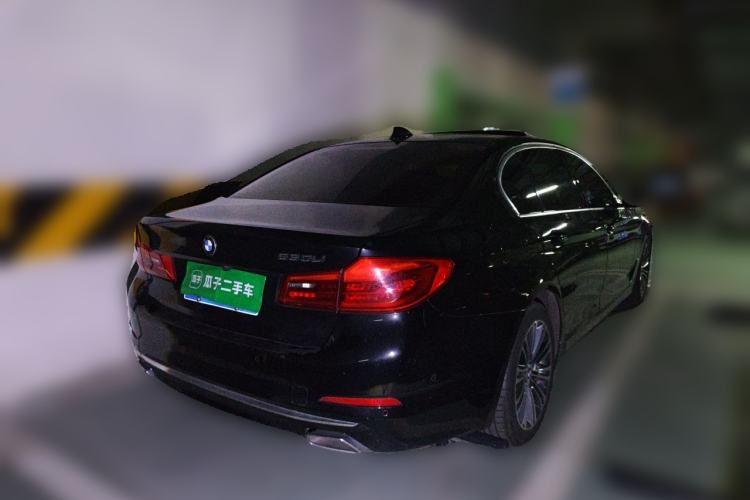 Used BMW 5 Series 2019 530Li Luxury Edition Premium Package Rear Right 45 Deg