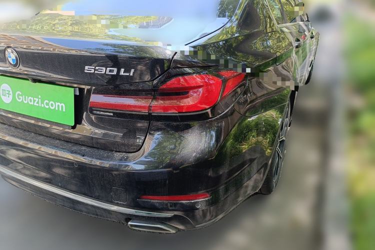 Used BMW 5 Series 2019 530Li Leading Model Luxury Package Rear Right 45 Deg