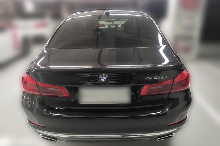 Used BMW 5 Series 2019 530Li xDrive Luxury Package Rear