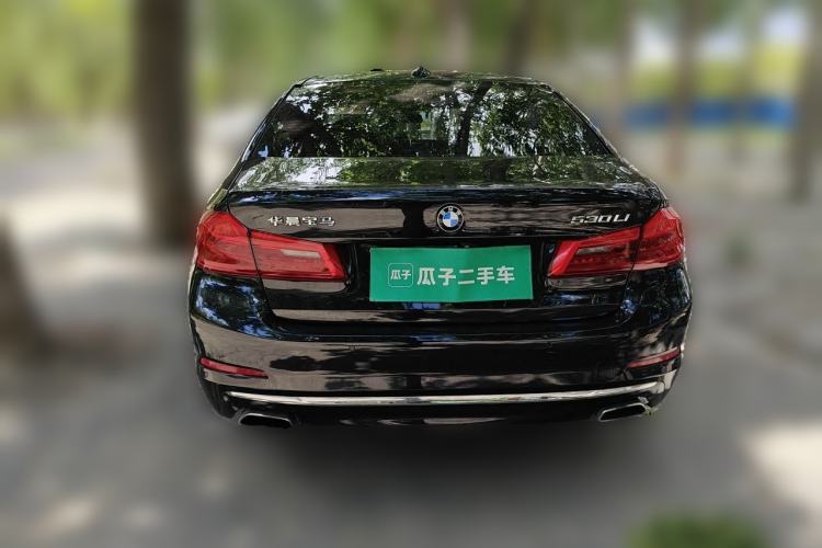 Used BMW 5 Series 2019 530Li Leading Model Luxury Package Rear