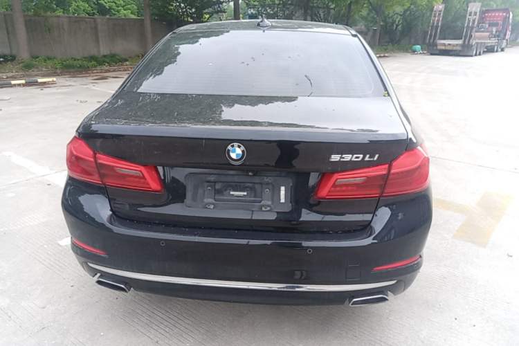 Used BMW 5 Series 2019 Facelifted 530Li Luxury Edition Premium Package Rear