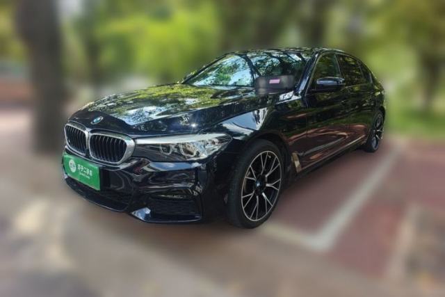 Used BMW 5 Series 2019 530Li Leading Model M Sport Package