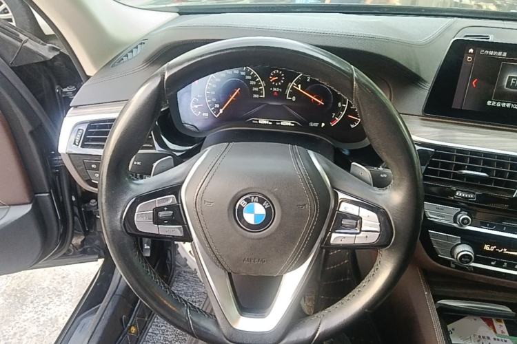Used BMW 5 Series 2019 530Li Leading Model Luxury Package Steering Wheel