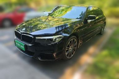 Used BMW 5 Series 2019 530Li Leading Model M Sport Package