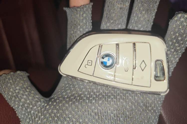 Used BMW 5 Series 2019 530Li Leading Model M Sport Package Vehicle Key