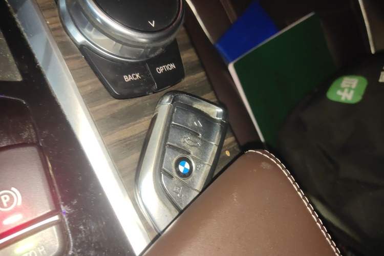 Used BMW 5 Series 2019 530Li Luxury Edition Premium Package Vehicle Key