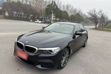 Used BMW 5 Series 2019 530Li Leading Model M Sport Package