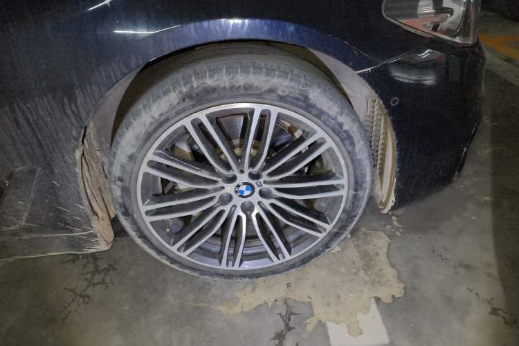 Used BMW 5 Series 2019 530Li Leading Model M Sport Package Exterior 4