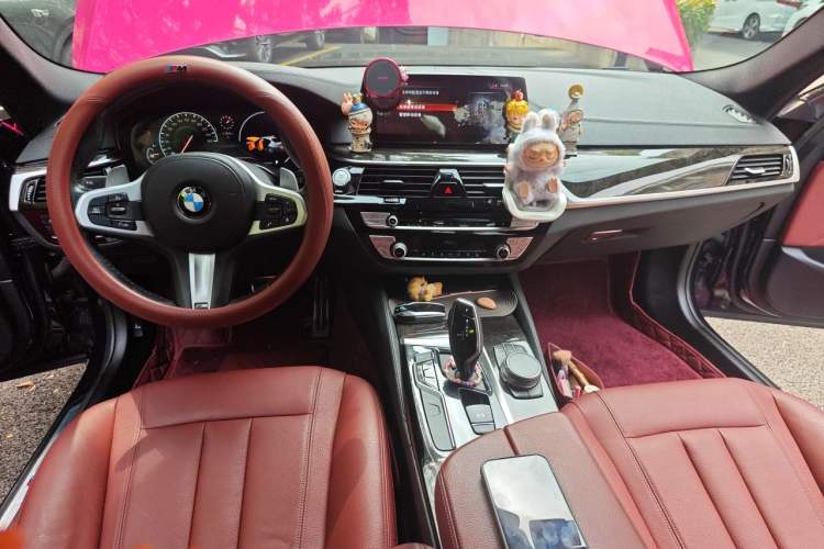 Used BMW 5 Series 2019 530Li xDrive M Sport Package Center Console
