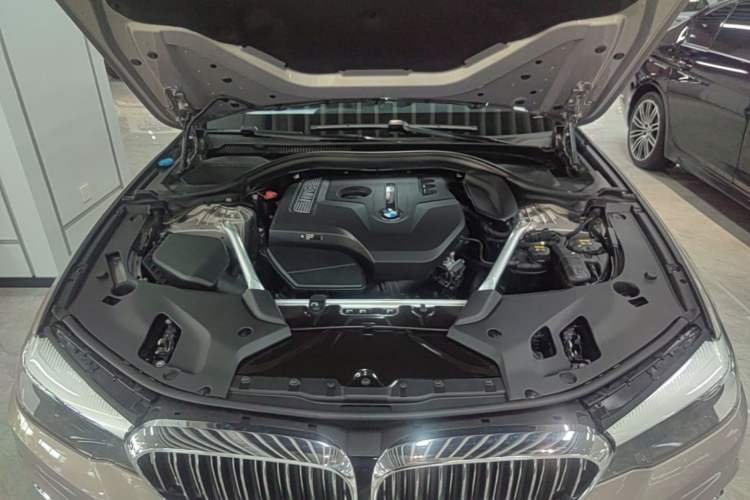 Used BMW 5 Series 2019 525Li Luxury Package Engine Bay