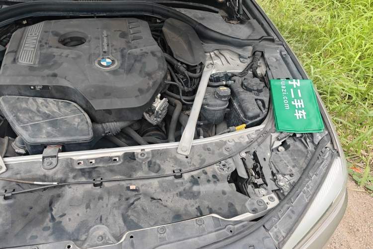 Used BMW 5 Series 2019 525Li Luxury Package Engine Bay Left