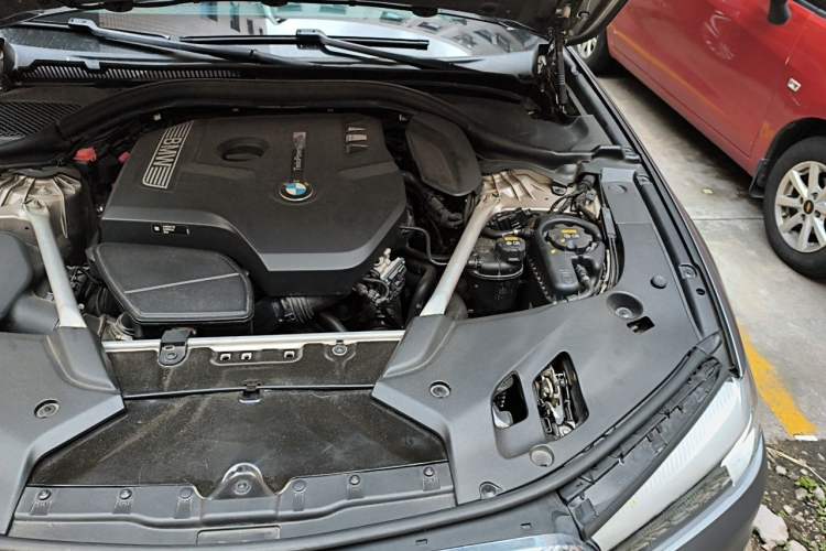 Used BMW 5 Series 2019 525Li Luxury Package Engine Bay Left
