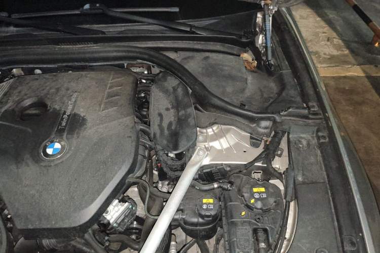 Used BMW 5 Series 2019 525Li Luxury Package Engine Bay Left