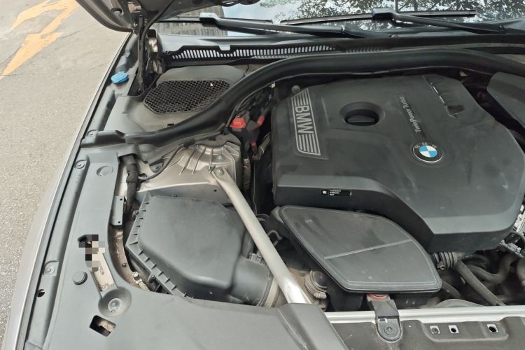 Used BMW 5 Series 2019 525Li Luxury Package Engine Bay Right