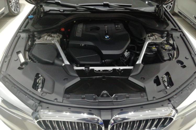 Used BMW 5 Series 2019 Facelifted 530Li Leading Edition Luxury Package Engine Bay